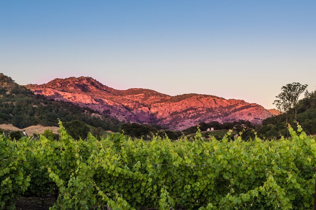 Stags Leap AVA Featured Simply Driven